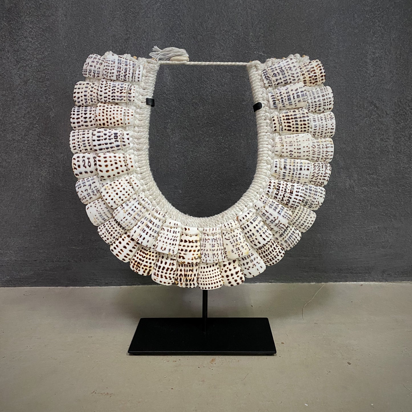 TIGER SHELL COLLAR (INDONESIA) MED 30W 34H