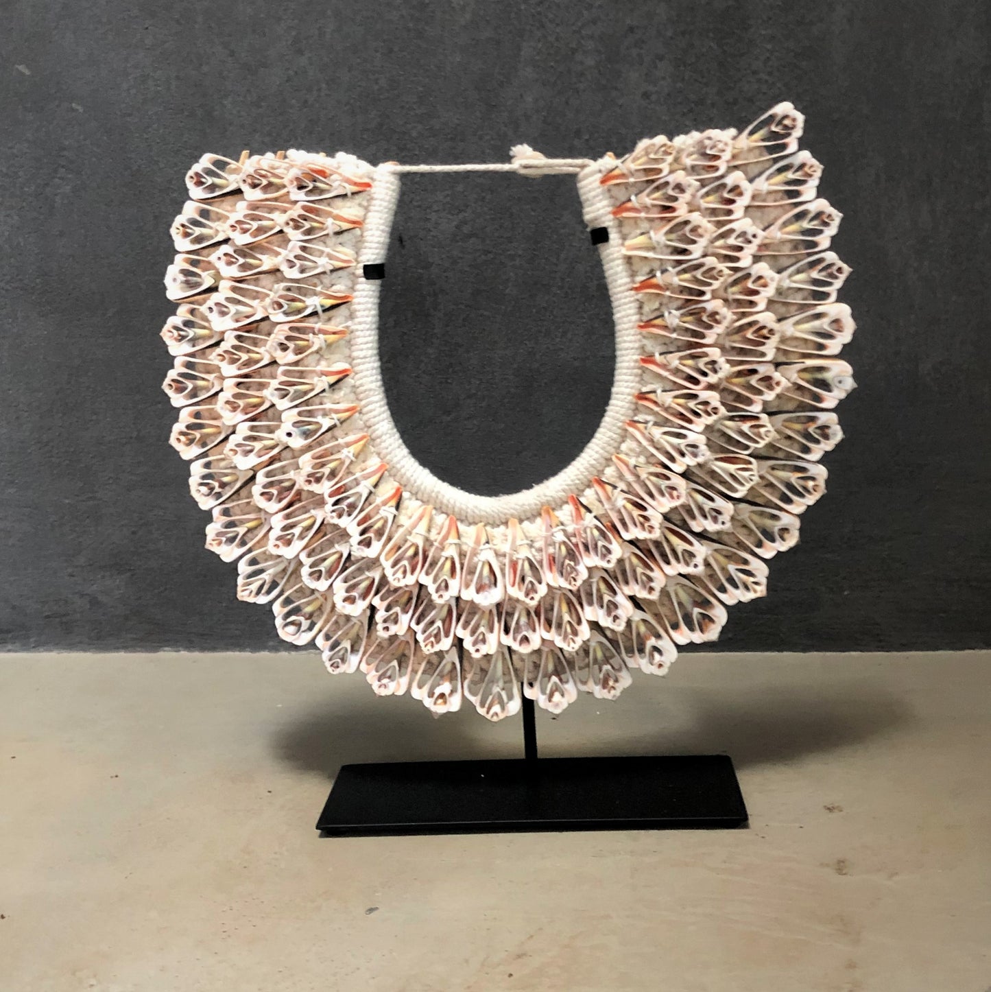 SLICE SHELL COLLAR (INDONESIA) MED 32W 33H