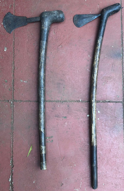 LOZI ARROW