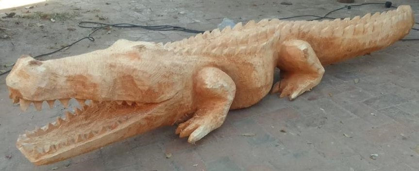 JACARANDA CROCODILE (SWAZILAND) 290L