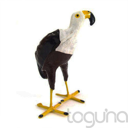 PAINTED SEEDPOD BIRD AFRICAN PENGUIN