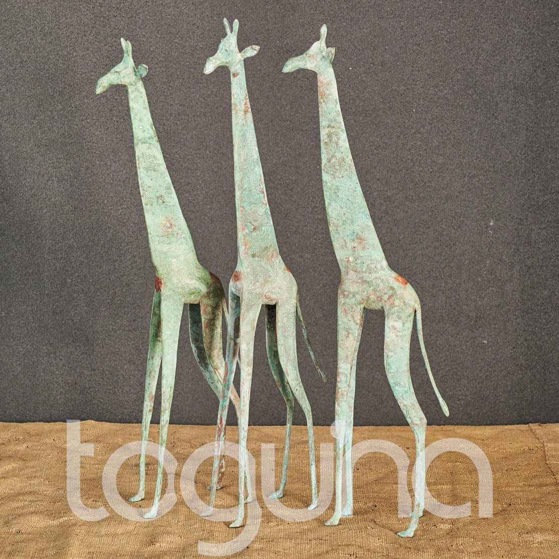 TUAREG GIRAFFE (NIGER) 35H