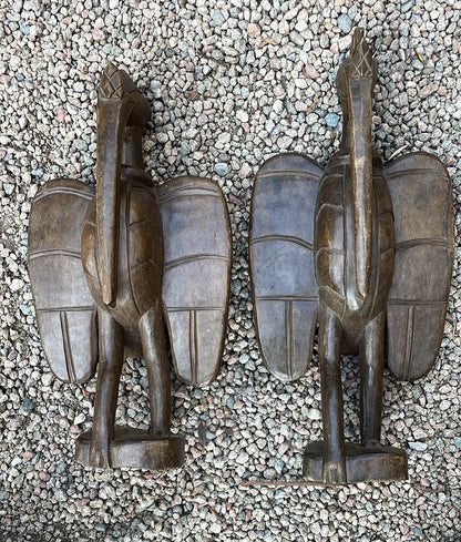 SENUFO BIRD (IVORY COAST) 50H