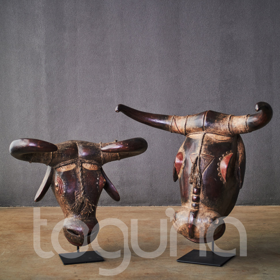 BAULE BULL HEADDRESS L
