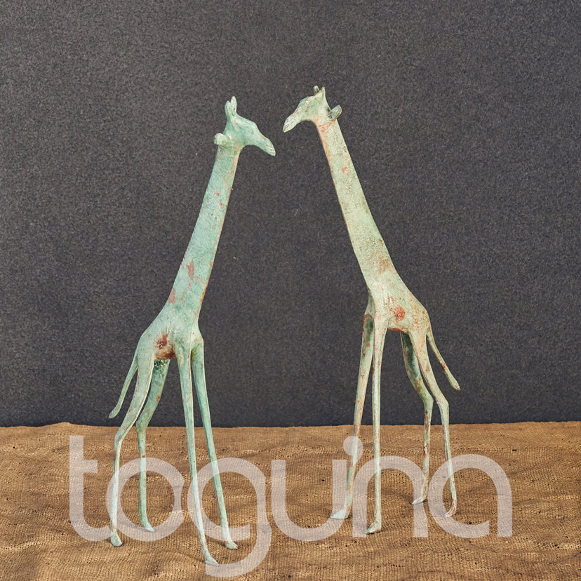 TUAREG GIRAFFE (NIGER) 30H