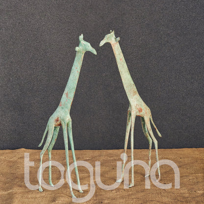 TUAREG GIRAFFE (NIGER) 30H