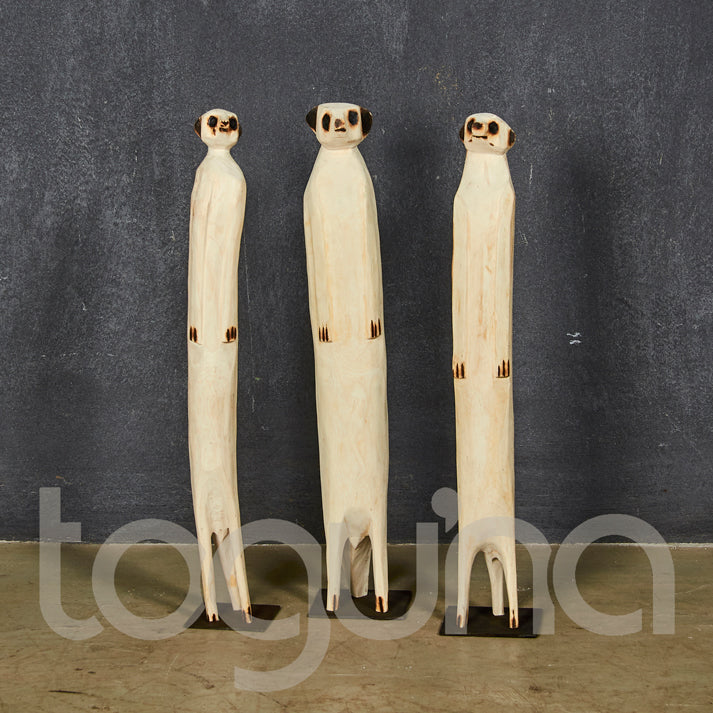 MEERKAT (SWAZILAND) 40H