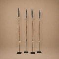 SAMBURU SPEAR (KENYA) 170H