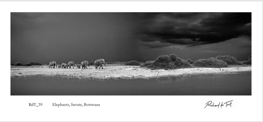 DAVID BALLAM FRAMED PRINT LUBANGO 80L 120H
