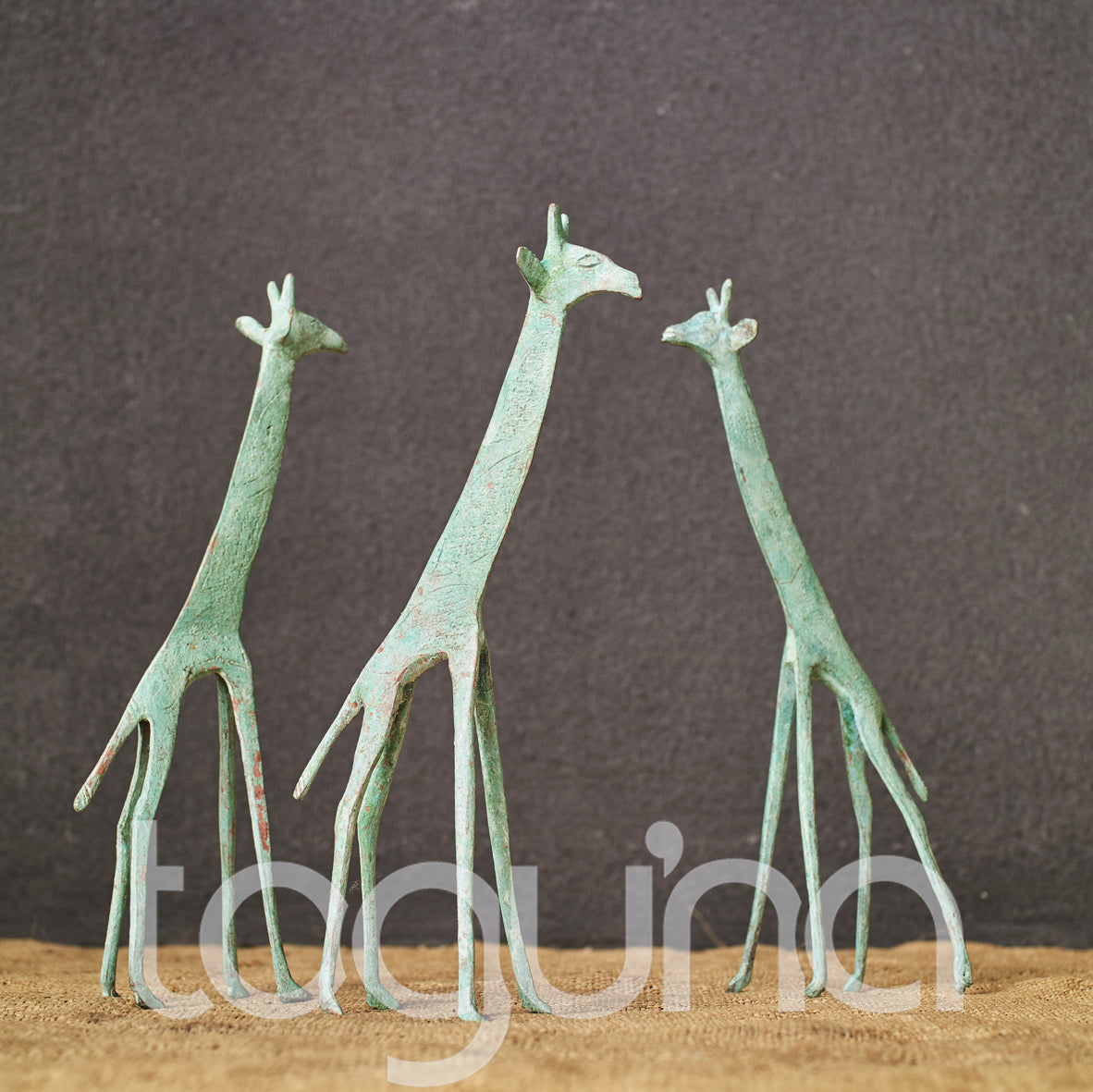 TUAREG GIRAFFE (NIGER) 15H