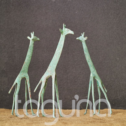 TUAREG GIRAFFE (NIGER) 15H