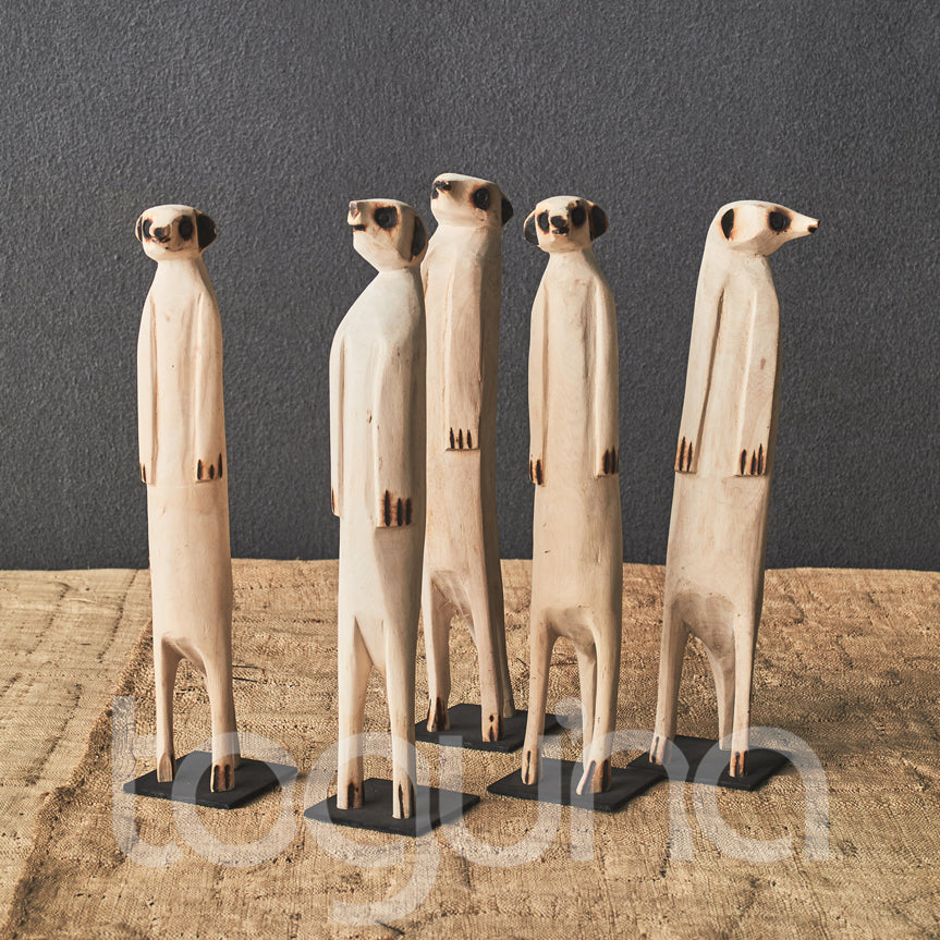 MEERKAT (SWAZILAND) 40H
