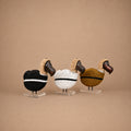 DODO (SOUTH AFRICA) 14H