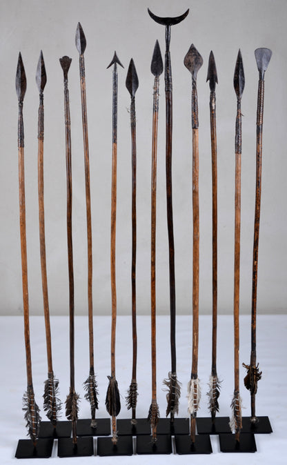 LOZI ARROW