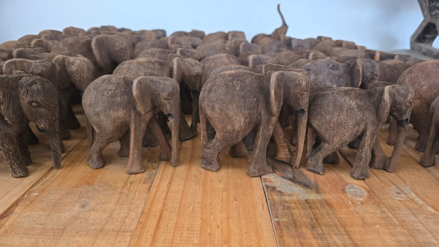 ELEPHANT (NAMIBIA) 10H