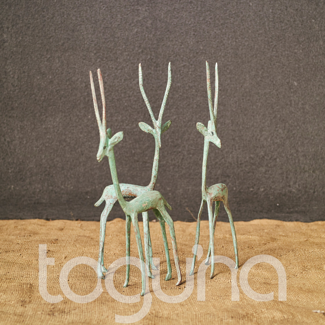TUAREG BUCK (NIGER) 15H