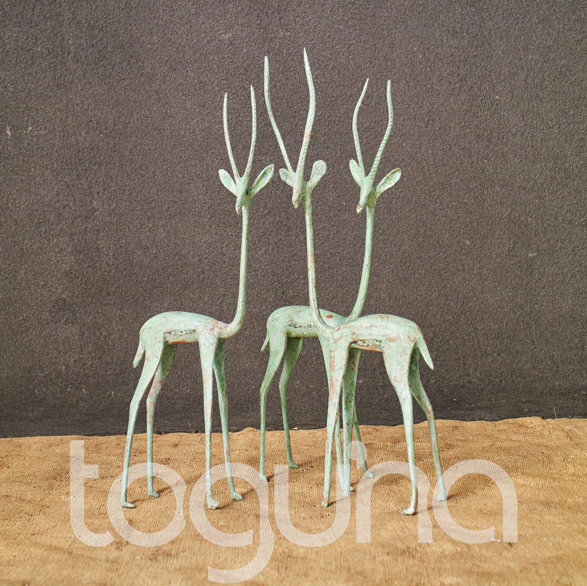 TUAREG BUCK (NIGER) 30H