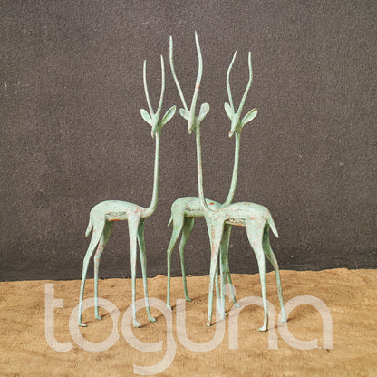 TUAREG BUCK (NIGER) 30H