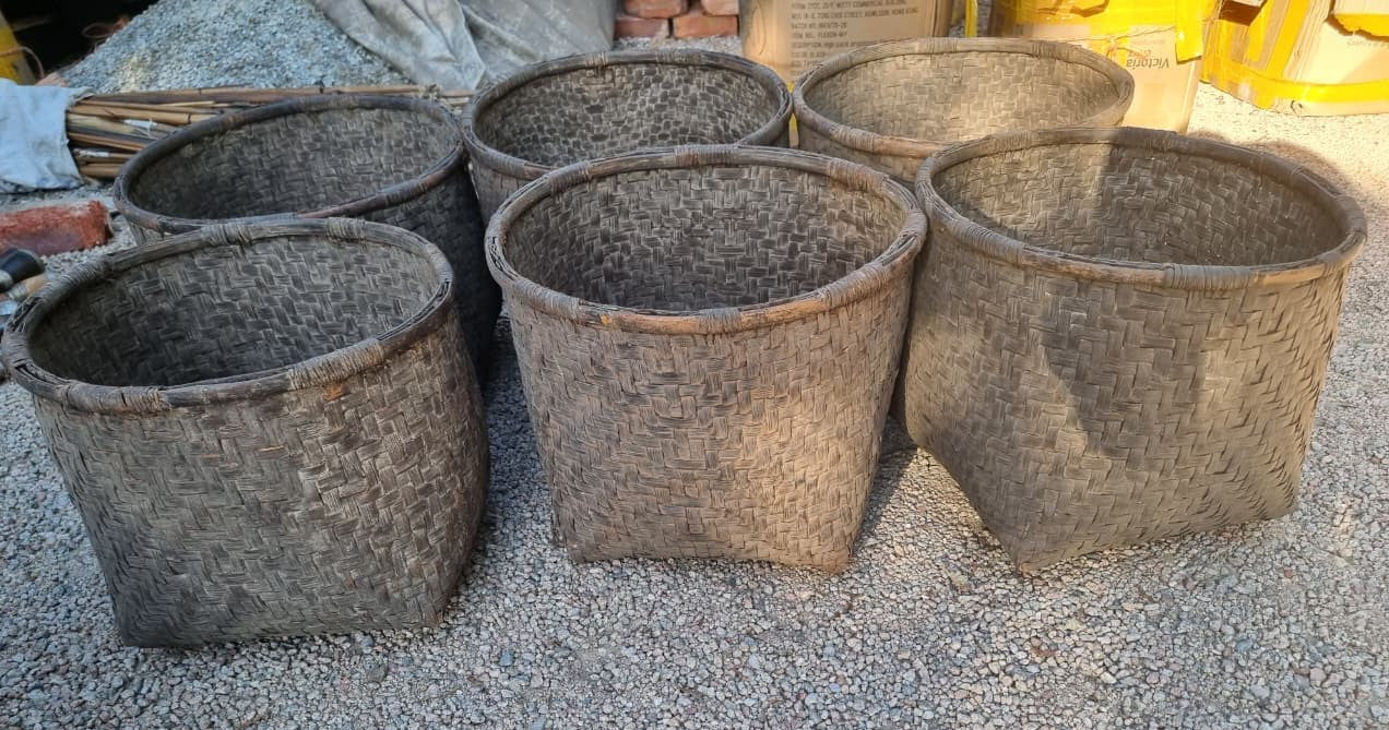 TUTSI BASKET (RWANDA) 45D 38H OLD