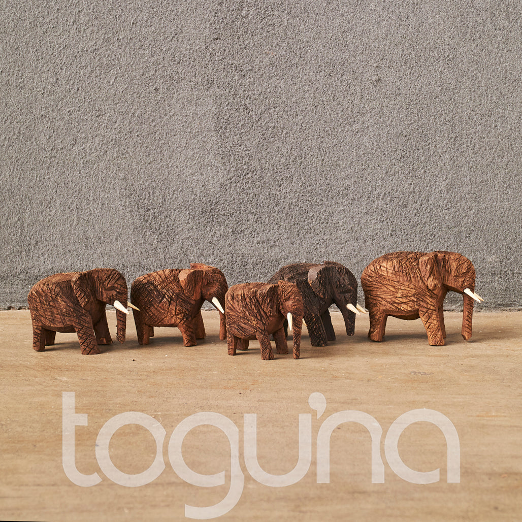 ELEPHANT (NAMIBIA) 7H