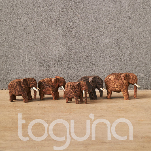ELEPHANT (NAMIBIA) 7H