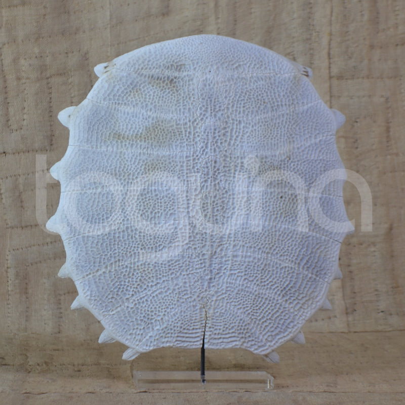 BALINESE HANGING (INDONESIA) WALL 90W 118H COTTON